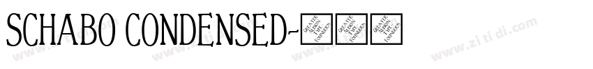 SCHABO CONDENSED字体转换